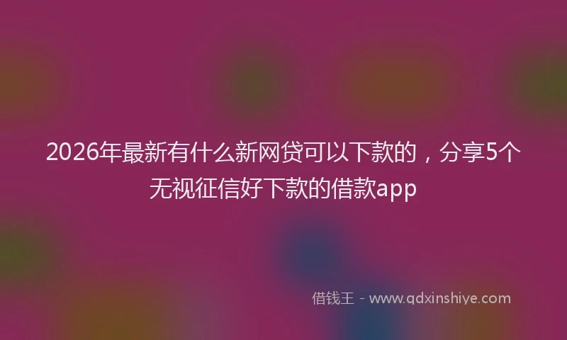 2026年最新有什么新网贷可以下款的，分享5个无视征信好下款的借款app