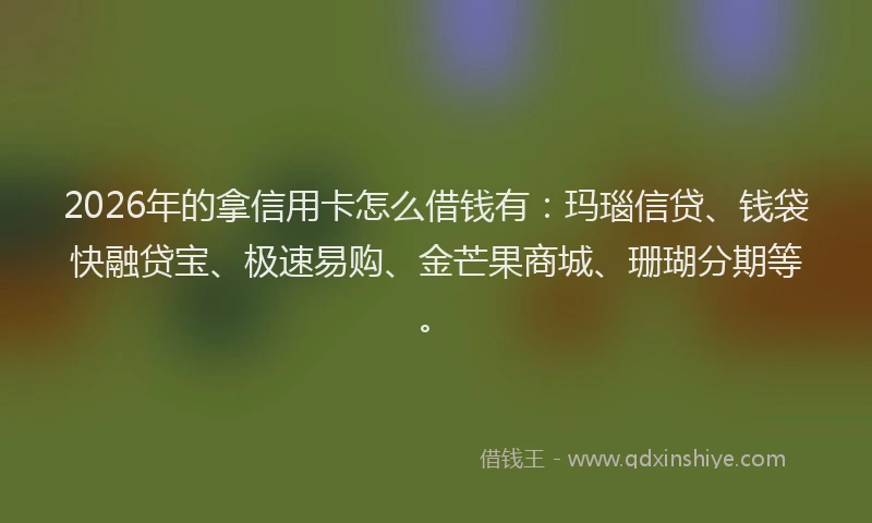 2026年的拿信用卡怎么借钱有：玛瑙信贷、钱袋快融贷宝、极速易购、金芒果商城、珊瑚分期等。