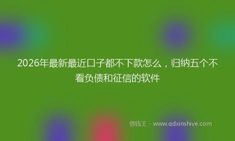 2026年最新最近口子都不下款怎么，归纳五个不看负债和征信的软件