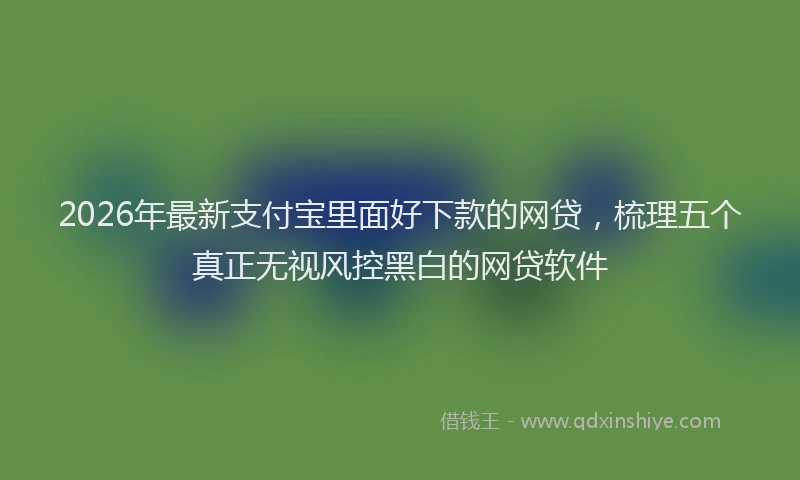 2026年最新支付宝里面好下款的网贷，梳理五个真正无视风控黑白的网贷软件