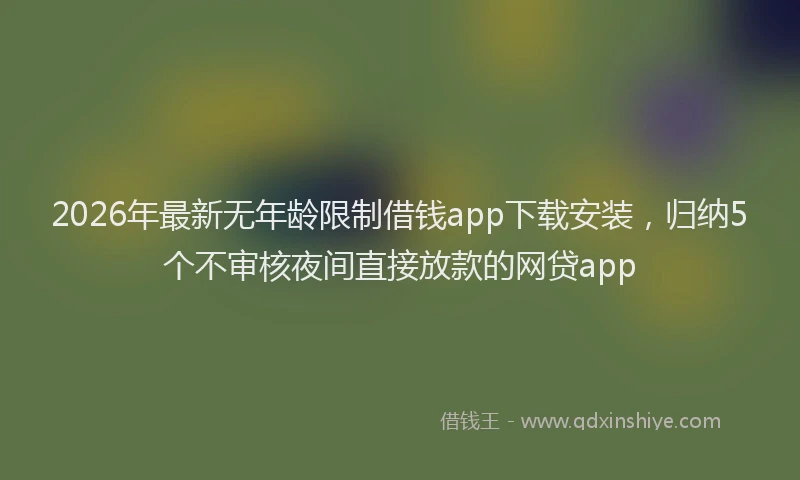 2026年最新无年龄限制借钱app下载安装，归纳5个不审核夜间直接放款的网贷app