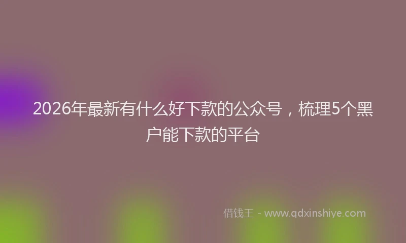 2026年最新有什么好下款的公众号，梳理5个黑户能下款的平台