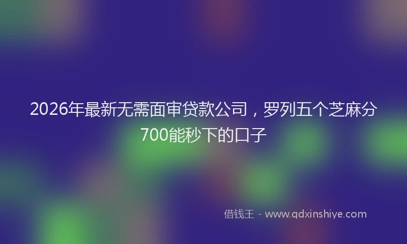 2026年最新无需面审贷款公司，罗列五个芝麻分700能秒下的口子