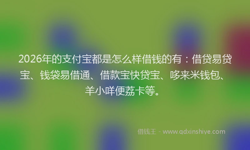 2026年的支付宝都是怎么样借钱的有：借贷易贷宝、钱袋易借通、借款宝快贷宝、哆来米钱包、羊小咩便荔卡等。