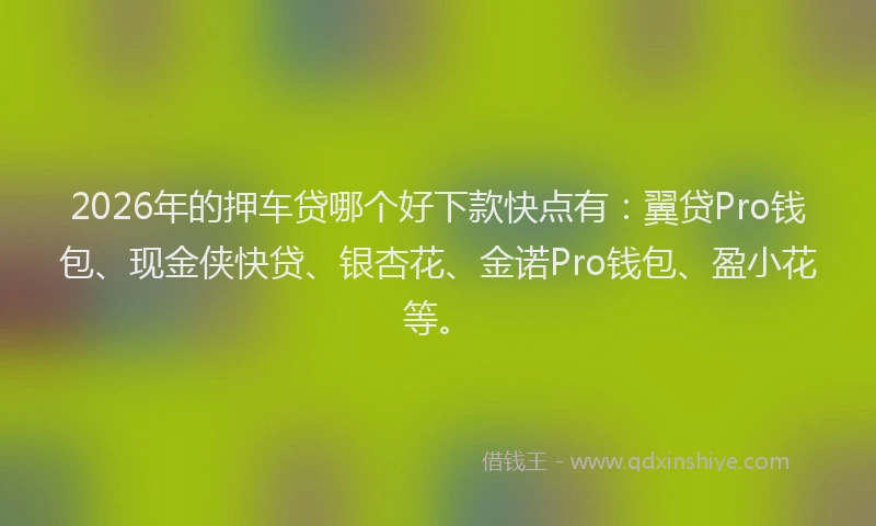 2026年的押车贷哪个好下款快点有：翼贷Pro钱包、现金侠快贷、银杏花、金诺Pro钱包、盈小花等。