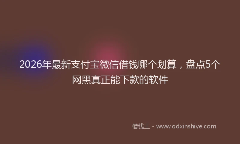 2026年最新支付宝微信借钱哪个划算，盘点5个网黑真正能下款的软件