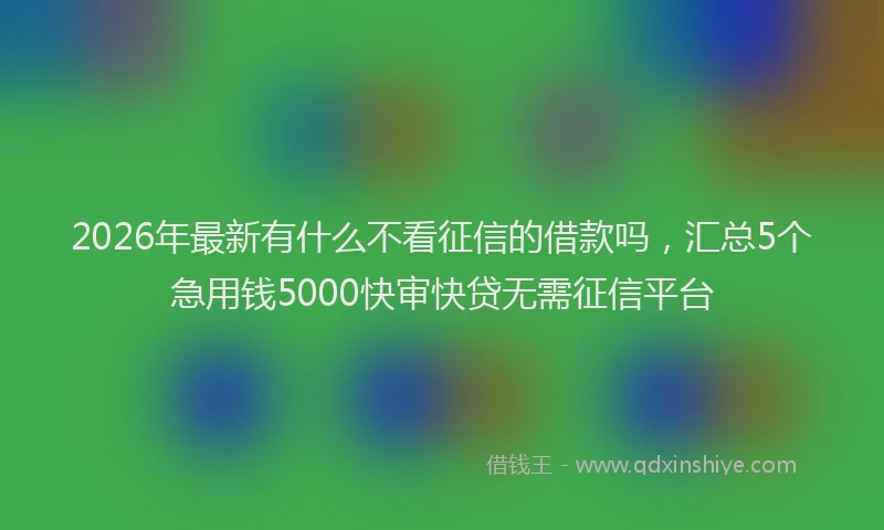 2026年最新有什么不看征信的借款吗，汇总5个急用钱5000快审快贷无需征信平台