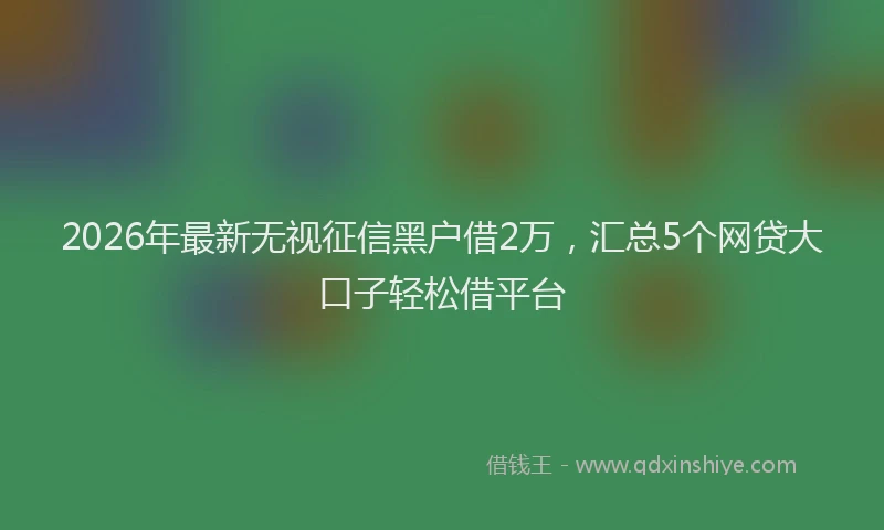 2026年最新无视征信黑户借2万，汇总5个网贷大口子轻松借平台