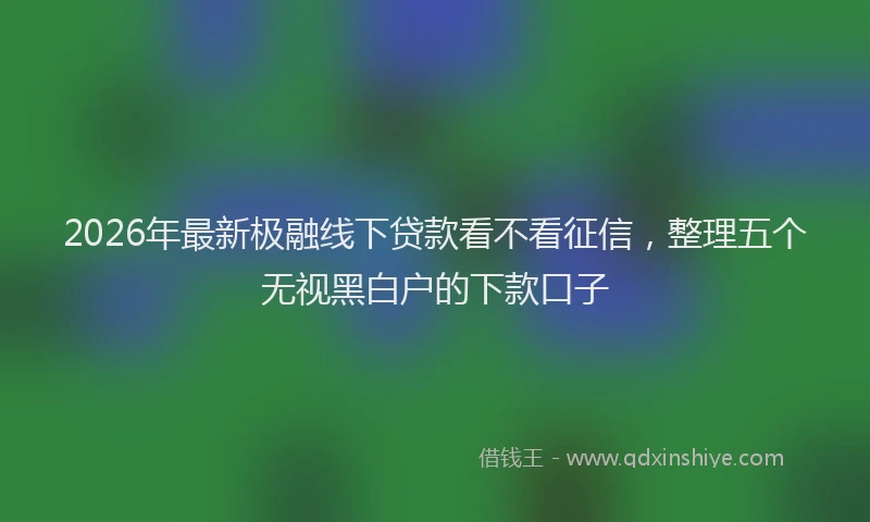 2026年最新极融线下贷款看不看征信，整理五个无视黑白户的下款口子