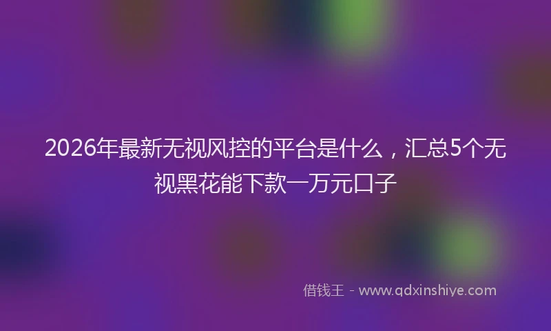 2026年最新无视风控的平台是什么，汇总5个无视黑花能下款一万元口子