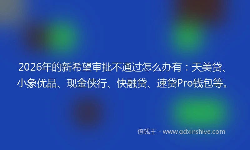 2026年的新希望审批不通过怎么办有：天美贷、小象优品、现金侠行、快融贷、速贷Pro钱包等。