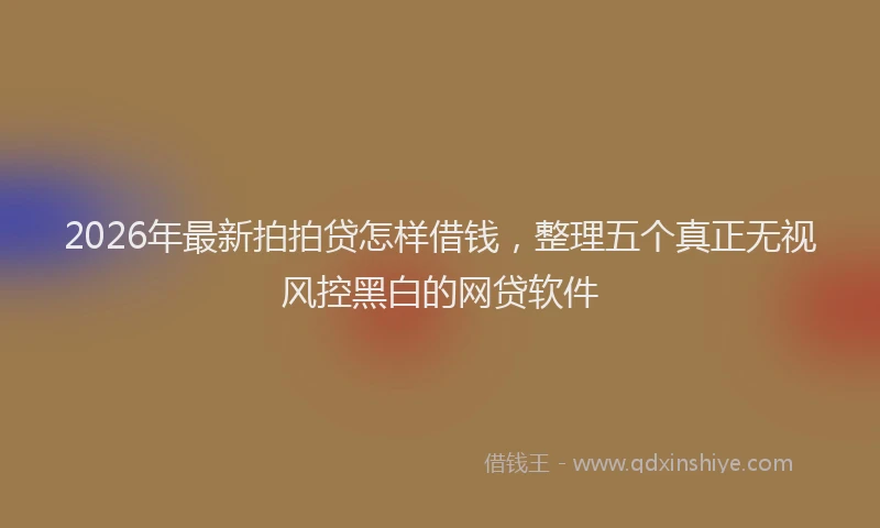 2026年最新拍拍贷怎样借钱，整理五个真正无视风控黑白的网贷软件
