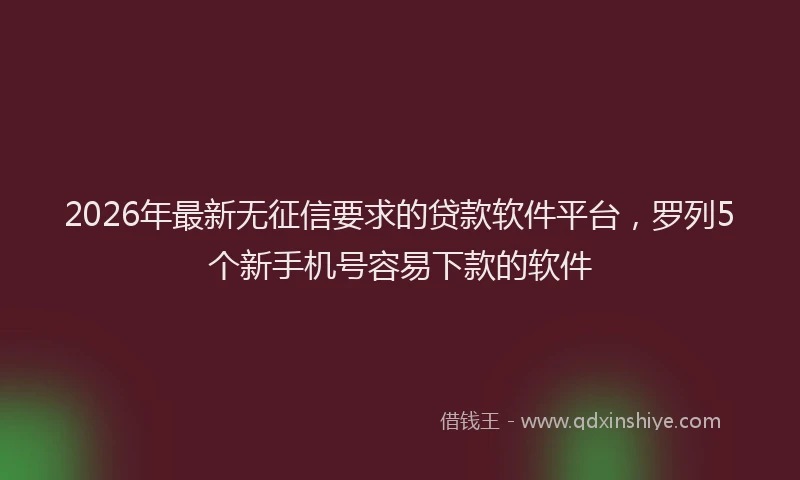 2026年最新无征信要求的贷款软件平台，罗列5个新手机号容易下款的软件