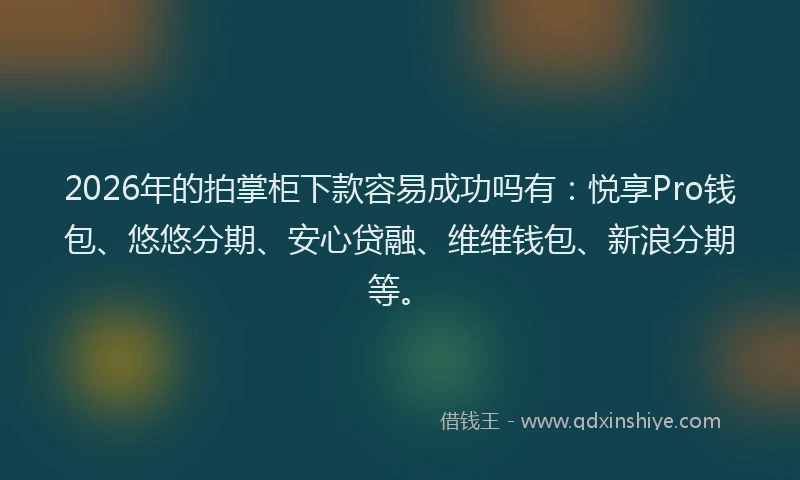 2026年的拍掌柜下款容易成功吗有：悦享Pro钱包、悠悠分期、安心贷融、维维钱包、新浪分期等。