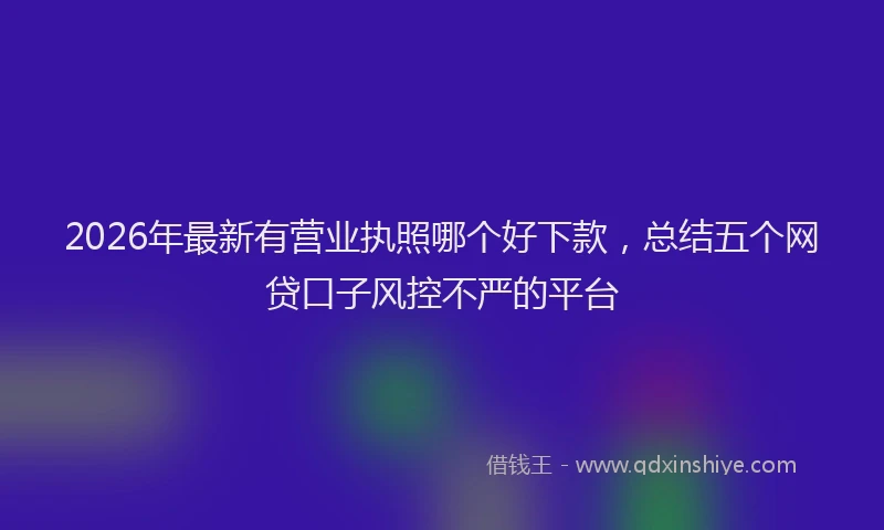 2026年最新有营业执照哪个好下款，总结五个网贷口子风控不严的平台