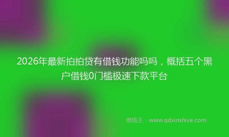 2026年最新拍拍贷有借钱功能吗吗，概括五个黑户借钱0门槛极速下款平台