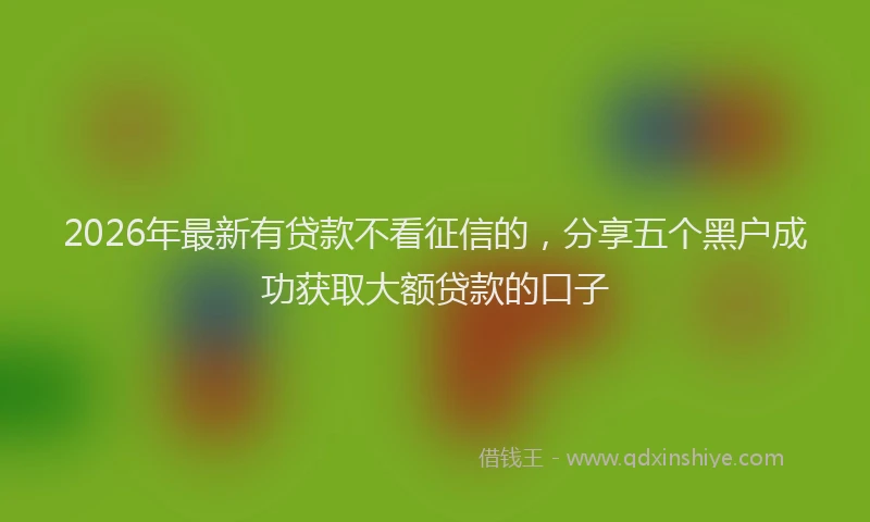 2026年最新有贷款不看征信的，分享五个黑户成功获取大额贷款的口子