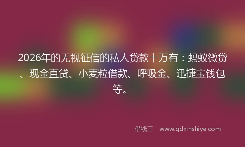 2026年的无视征信的私人贷款十万有：蚂蚁微贷、现金直贷、小麦粒借款、呼吸金、迅捷宝钱包等。
