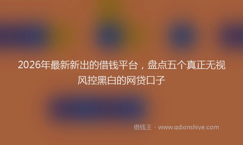 2026年最新新出的借钱平台，盘点五个真正无视风控黑白的网贷口子