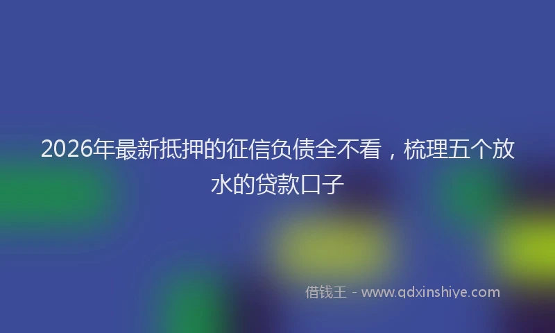 2026年最新抵押的征信负债全不看，梳理五个放水的贷款口子