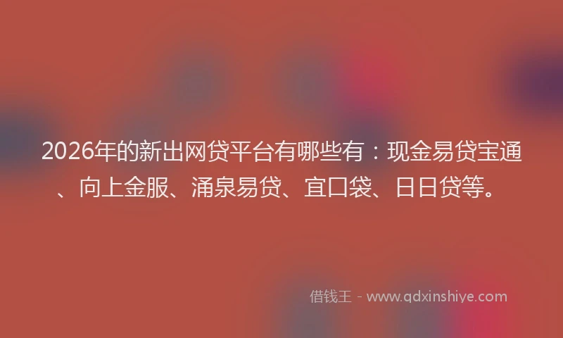 2026年的新出网贷平台有哪些有：现金易贷宝通、向上金服、涌泉易贷、宜口袋、日日贷等。