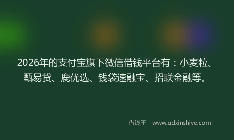 2026年的支付宝旗下微信借钱平台有：小麦粒、甄易贷、鹿优选、钱袋速融宝、招联金融等。