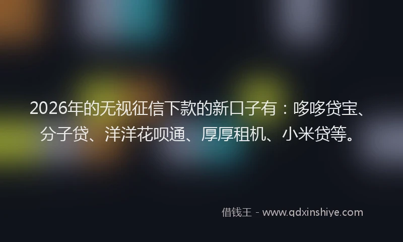2026年的无视征信下款的新口子有：哆哆贷宝、分子贷、洋洋花呗通、厚厚租机、小米贷等。