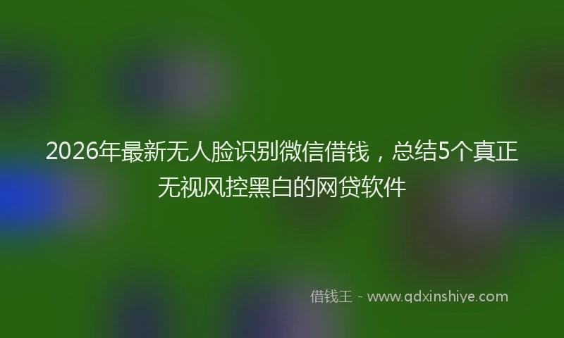 2026年最新无人脸识别微信借钱，总结5个真正无视风控黑白的网贷软件