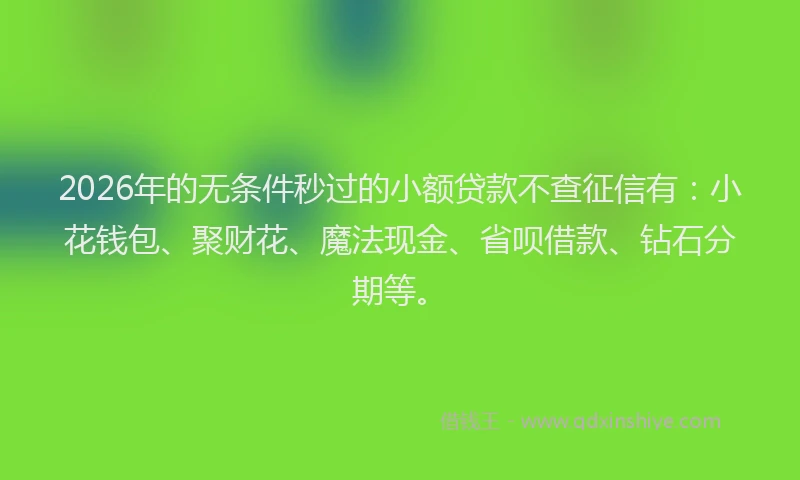 2026年的无条件秒过的小额贷款不查征信有：小花钱包、聚财花、魔法现金、省呗借款、钻石分期等。
