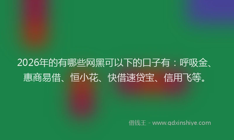 2026年的有哪些网黑可以下的口子有：呼吸金、惠商易借、恒小花、快借速贷宝、信用飞等。