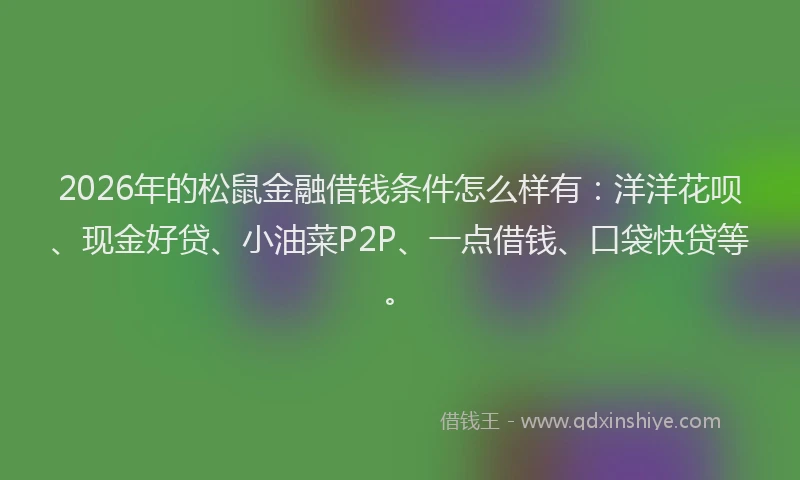 2026年的松鼠金融借钱条件怎么样有：洋洋花呗、现金好贷、小油菜P2P、一点借钱、口袋快贷等。