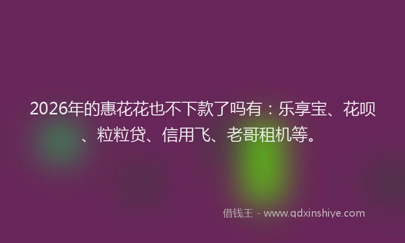 2026年的惠花花也不下款了吗有：乐享宝、花呗、粒粒贷、信用飞、老哥租机等。