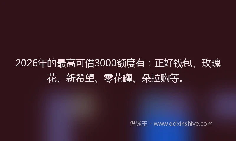 2026年的最高可借3000额度有：正好钱包、玫瑰花、新希望、零花罐、朵拉购等。