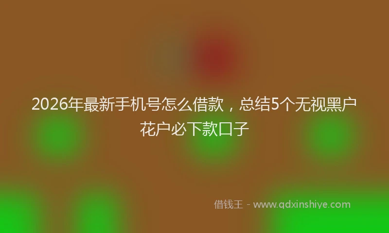 2026年最新手机号怎么借款，总结5个无视黑户花户必下款口子