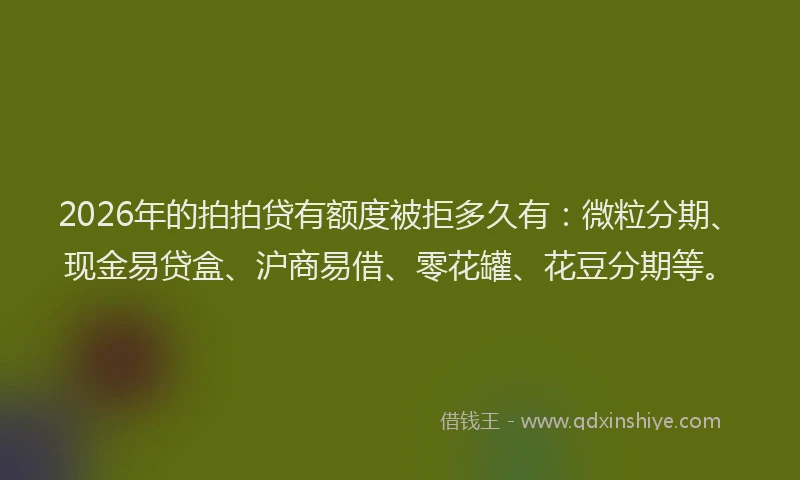 2026年的拍拍贷有额度被拒多久有：微粒分期、现金易贷盒、沪商易借、零花罐、花豆分期等。