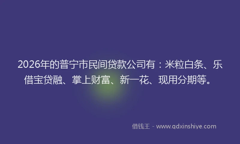 2026年的普宁市民间贷款公司有：米粒白条、乐借宝贷融、掌上财富、新一花、现用分期等。