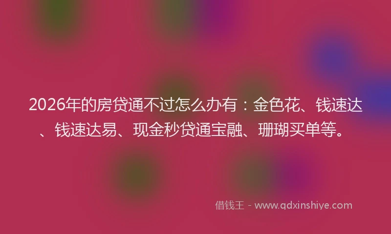 2026年的房贷通不过怎么办有：金色花、钱速达、钱速达易、现金秒贷通宝融、珊瑚买单等。