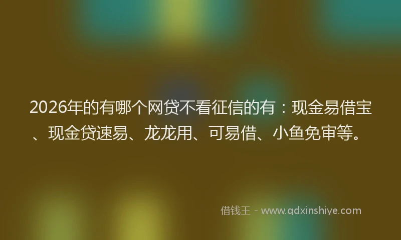 2026年的有哪个网贷不看征信的有：现金易借宝、现金贷速易、龙龙用、可易借、小鱼免审等。