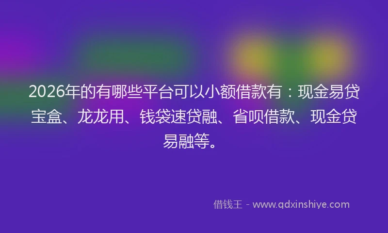 2026年的有哪些平台可以小额借款有：现金易贷宝盒、龙龙用、钱袋速贷融、省呗借款、现金贷易融等。