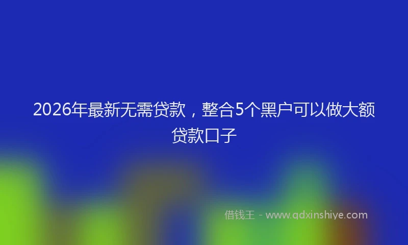 2026年最新无需贷款，整合5个黑户可以做大额贷款口子