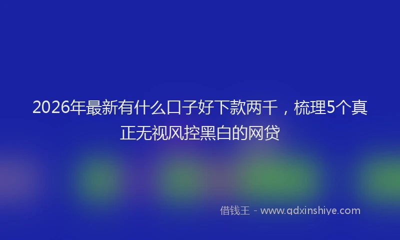 2026年最新有什么口子好下款两千，梳理5个真正无视风控黑白的网贷