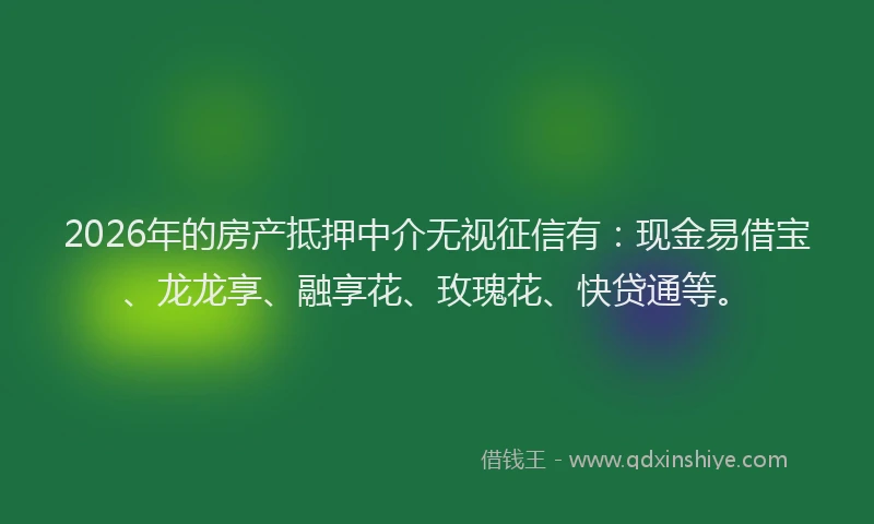 2026年的房产抵押中介无视征信有：现金易借宝、龙龙享、融享花、玫瑰花、快贷通等。