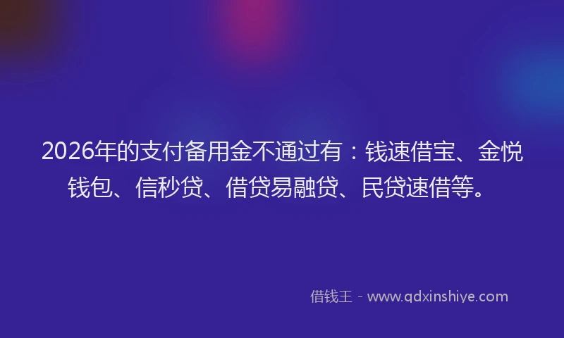 2026年的支付备用金不通过有：钱速借宝、金悦钱包、信秒贷、借贷易融贷、民贷速借等。