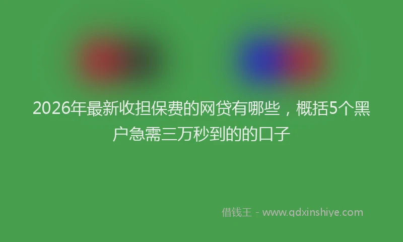 2026年最新收担保费的网贷有哪些，概括5个黑户急需三万秒到的的口子