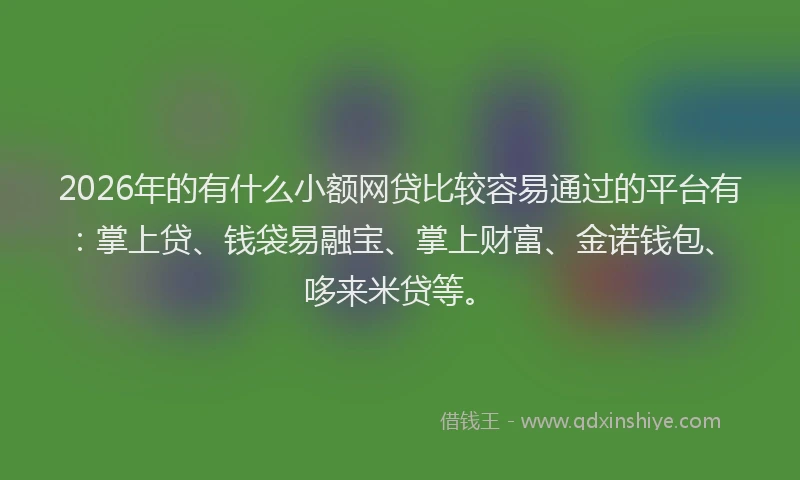 2026年的有什么小额网贷比较容易通过的平台有：掌上贷、钱袋易融宝、掌上财富、金诺钱包、哆来米贷等。