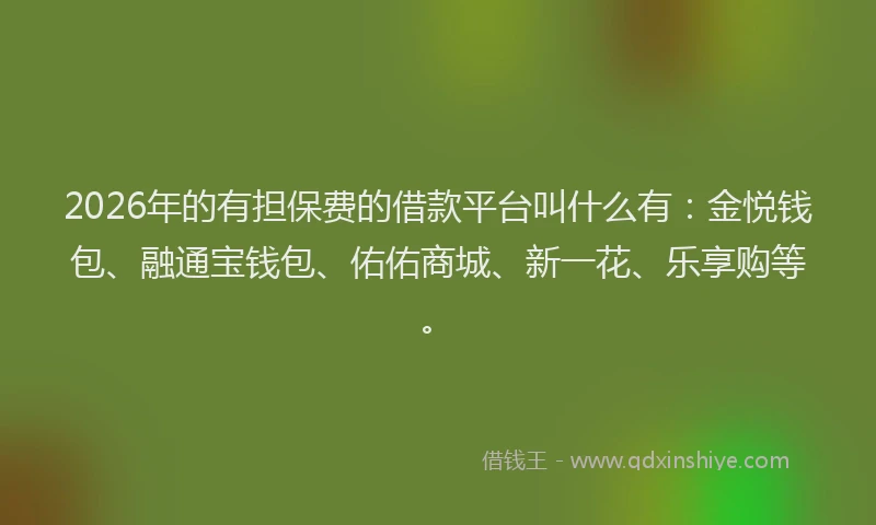 2026年的有担保费的借款平台叫什么有：金悦钱包、融通宝钱包、佑佑商城、新一花、乐享购等。