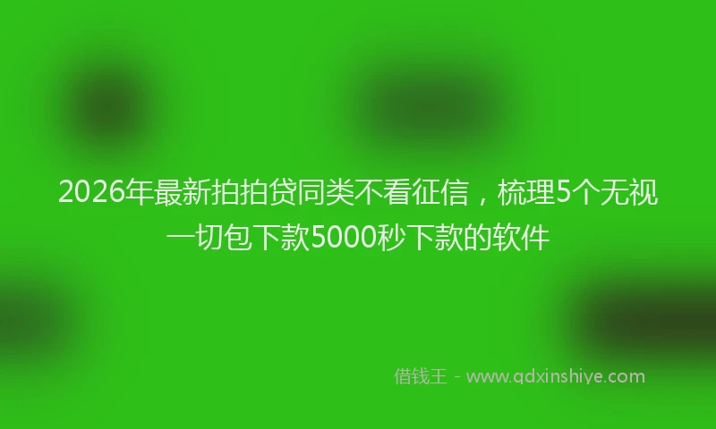 2026年最新拍拍贷同类不看征信，梳理5个无视一切包下款5000秒下款的软件