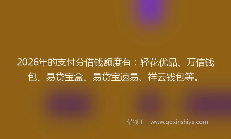 2026年的支付分借钱额度有：轻花优品、万信钱包、易贷宝盒、易贷宝速易、祥云钱包等。