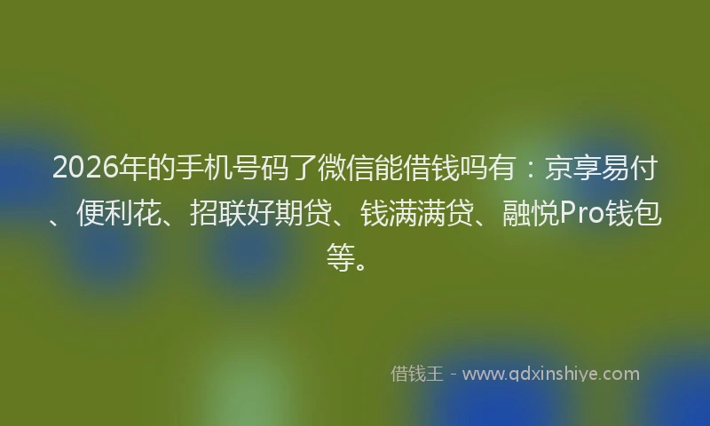 2026年的手机号码了微信能借钱吗有：京享易付、便利花、招联好期贷、钱满满贷、融悦Pro钱包等。