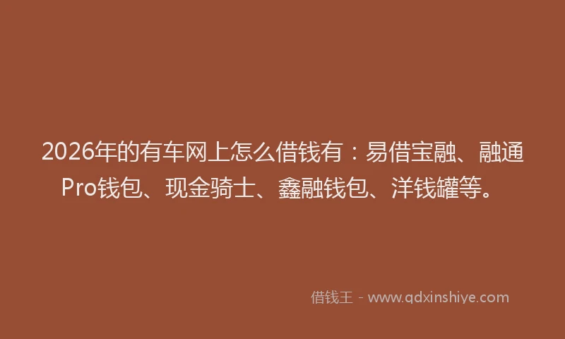 2026年的有车网上怎么借钱有：易借宝融、融通Pro钱包、现金骑士、鑫融钱包、洋钱罐等。